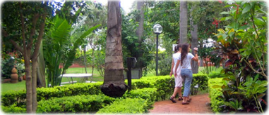 Albergue Foz Iguacu