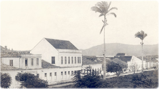 Antonina antiga