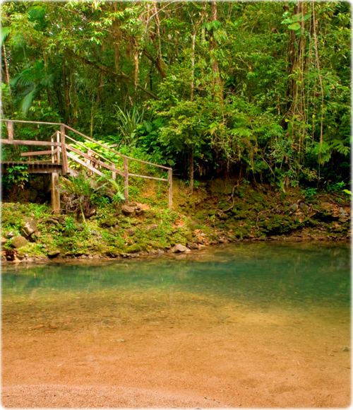 Aquario Guaraqueçaba