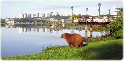 Fotos de Curitiba