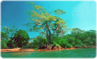 Guaira Parana