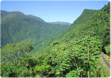 Mata Atlantica