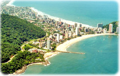 Matinhos Caioba