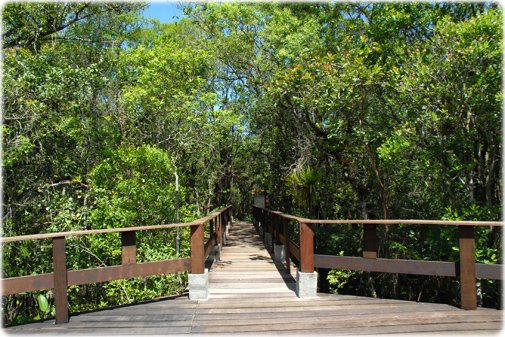 Parque Florestal Paraná