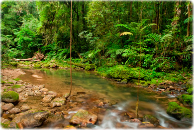 Reserva Ambiental PR