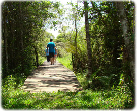 Reserva Florestal