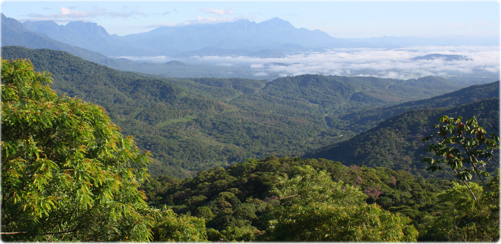 Serra do Mar