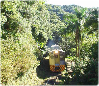 Trem Curitiba