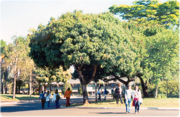 Universidade