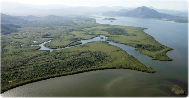 Estuário lagunar Parana